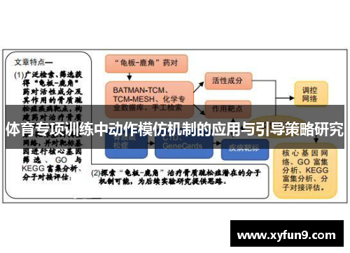 体育专项训练中动作模仿机制的应用与引导策略研究