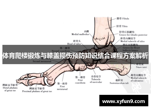 体育爬楼锻炼与膝盖损伤预防知识结合课程方案解析